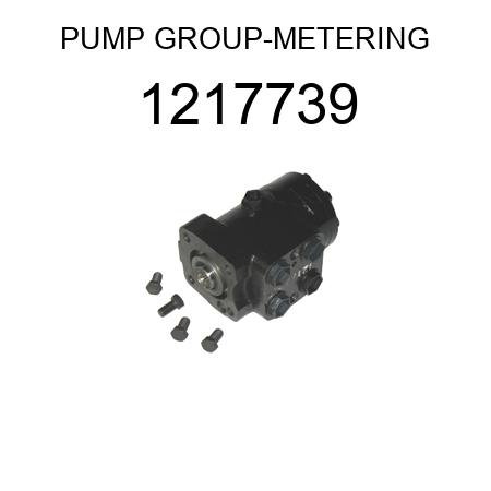 PUMP GROUP-METERING 1217739