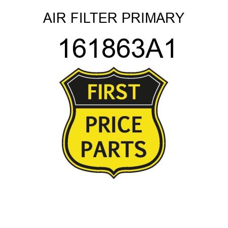 AIR FILTER PRIMARY 161863A1