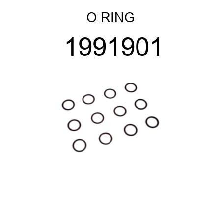 O RING 1991901