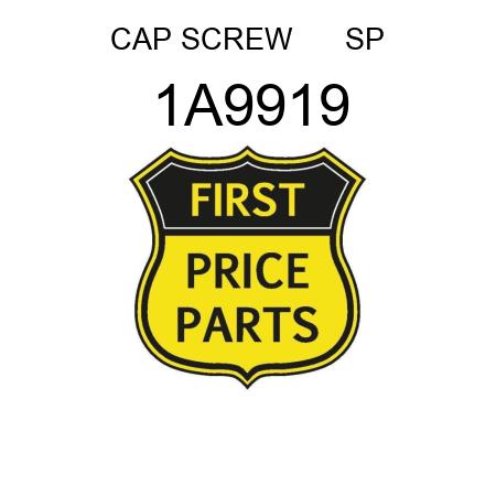 CAP SCREW      SP 1A9919