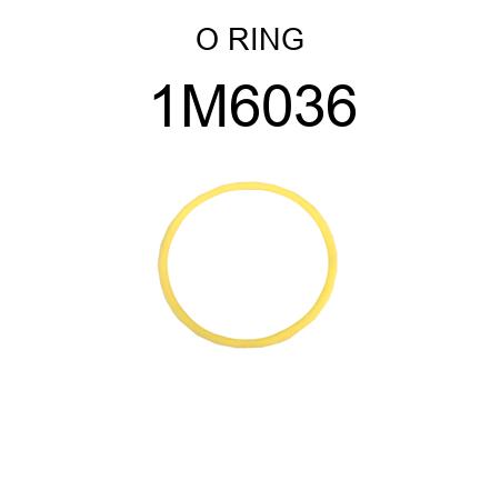 O RING 1M6036