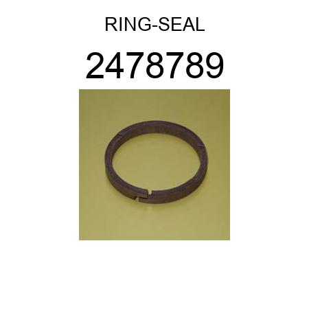 RING-SEAL 2478789