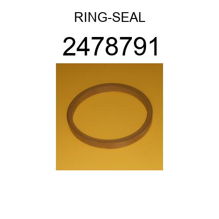 RING-SEAL 2478791