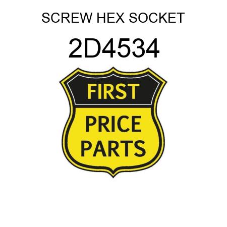 SCREW HEX SOCKET 2D4534