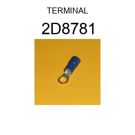TERMINAL 2D8781