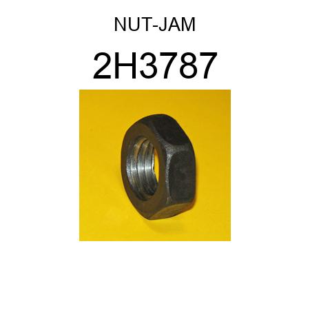 NUT 2H3787