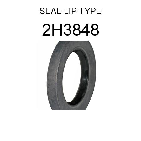 SEAL-LIP TYPE 2H3848