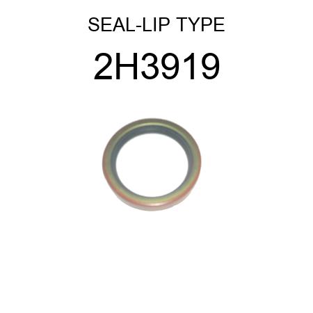 SEAL-LIP TYPE 2H3919