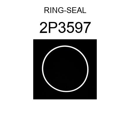 RING-SEAL 2P3597