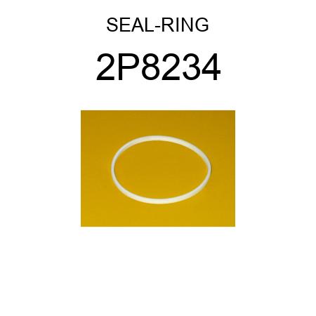 SEAL-RING 2P8234
