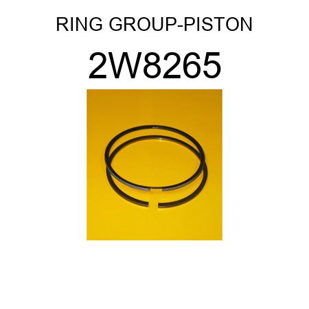 RING GROUP-PISTON 2W8265