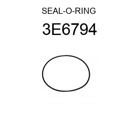 SEAL-O-RING 3E6794