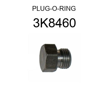 PLUG-O-RING 3K8460