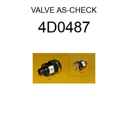 VALVE AS-CHECK 4D0487
