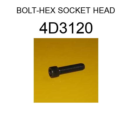 BOLT-HEX SOCKET HEAD 4D3120