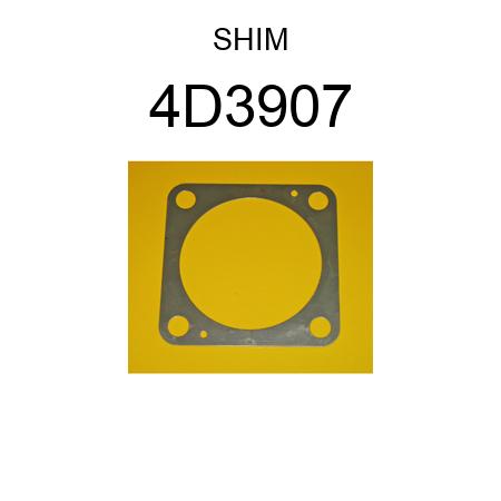 SHIM 4D3907