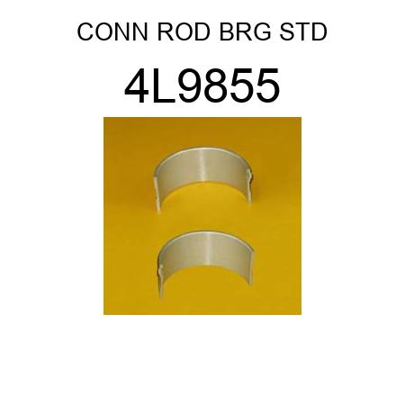 CONN ROD BRG STD 4L9855
