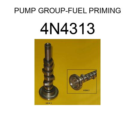 PUMP GROUP-FUEL PRIMING 4N4313