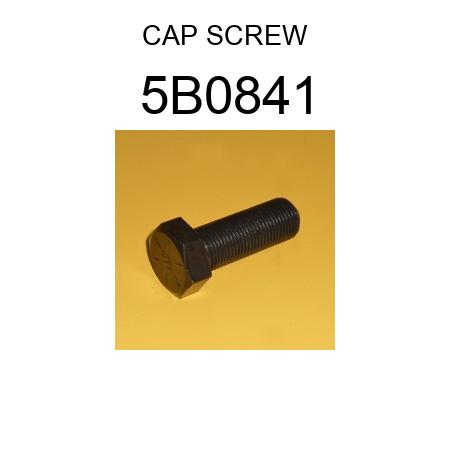 CAP SCREW 5B0841