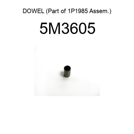 DOWEL (Part of 1P1985 Assem.) 5M3605