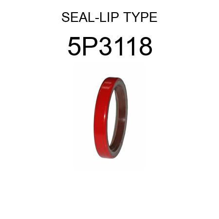 SEAL-LIP TYPE 5P3118