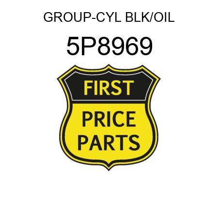 GROUP-CYL BLK/OIL 5P8969