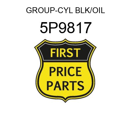 GROUP-CYL BLK/OIL 5P9817