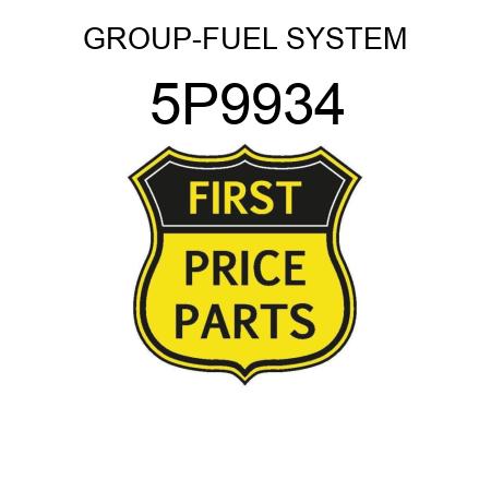 GROUP-FUEL SYSTEM 5P9934