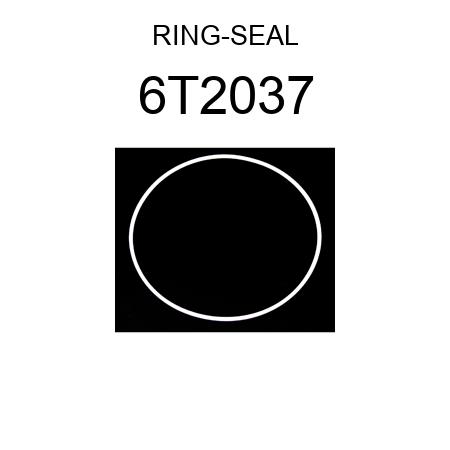 RING-SEAL 6T2037