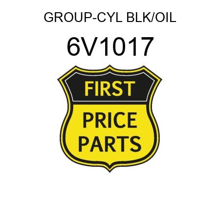 GROUP-CYL BLK/OIL 6V1017