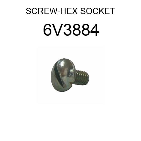 SCREW-HEX SOCKET 6V3884