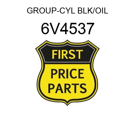 GROUP-CYL BLK/OIL 6V4537