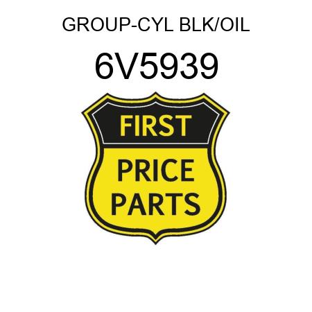 GROUP-CYL BLK/OIL 6V5939