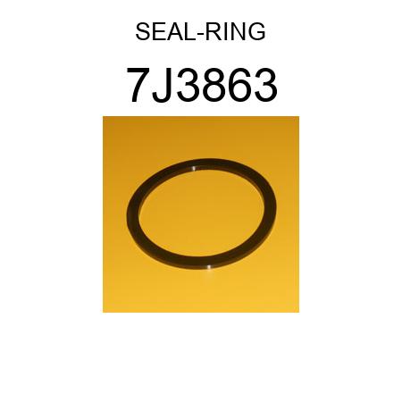 SEAL-RING 7J3863
