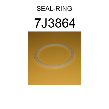 SEAL-RING 7J3864