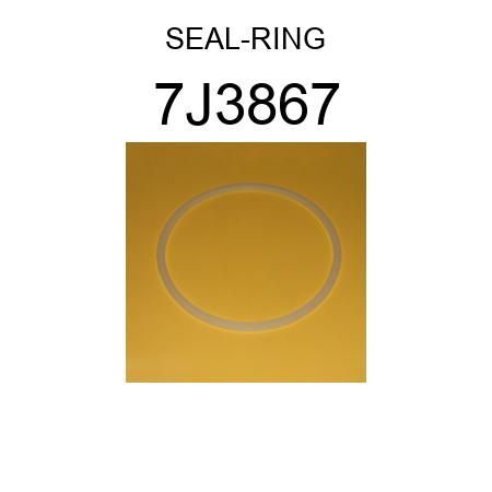 SEAL-RING 7J3867