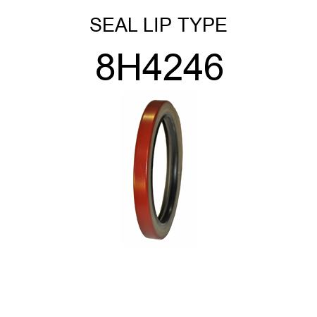 SEAL LIP TYPE 8H4246