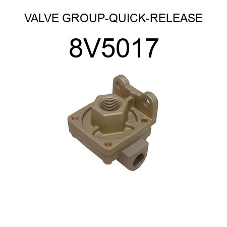 VALVE GROUP-QUICK-RELEASE 8V5017