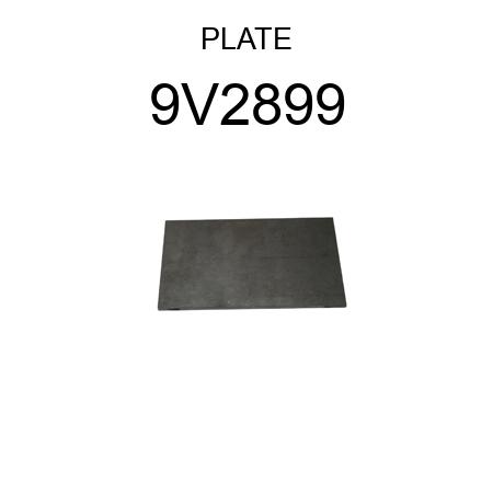 PLATE 9V2899