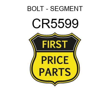 BOLT - SEGMENT CR5599