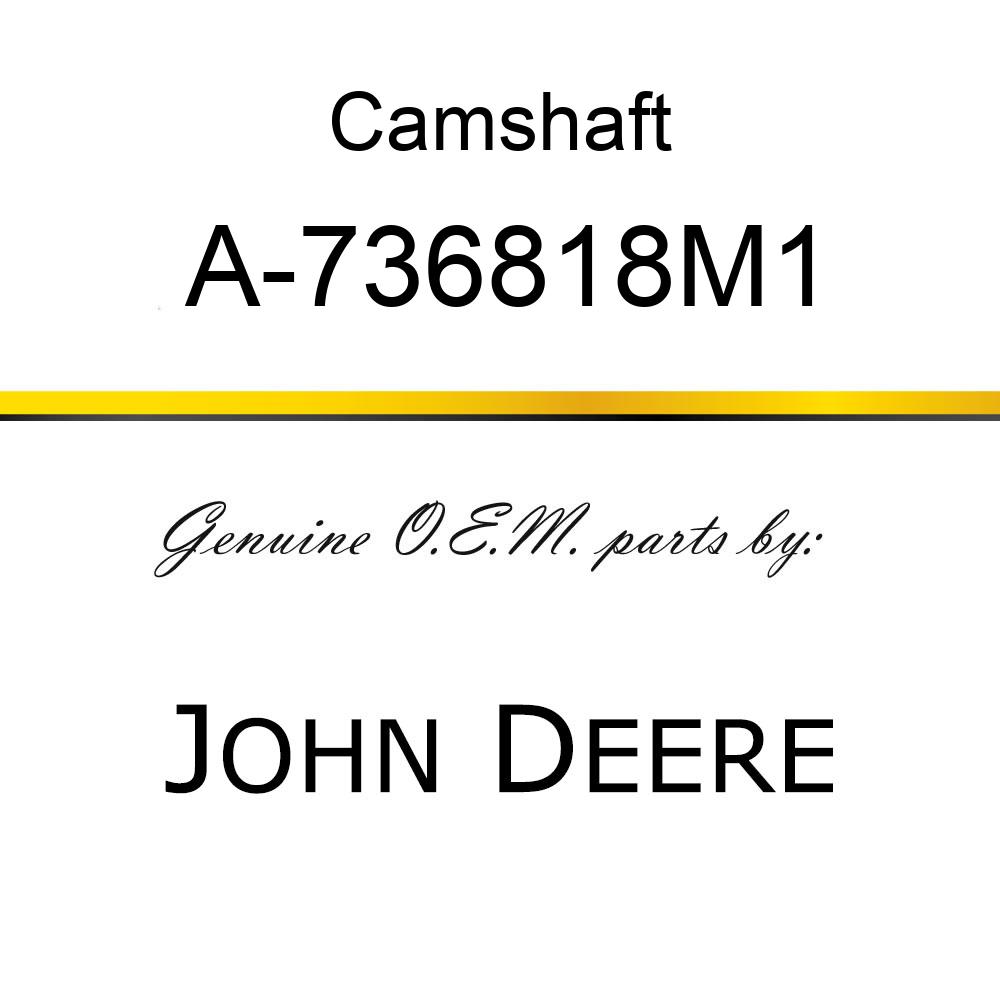 Camshaft - CAMSHAFT A-736818M1