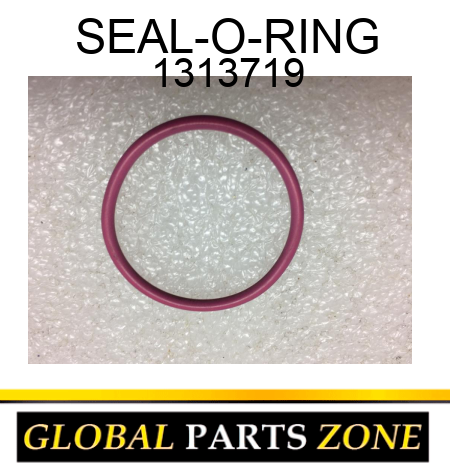 SEAL-O-RING 1313719