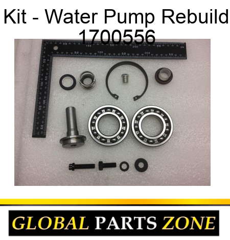 Kit - Water Pump Rebuild 1700556