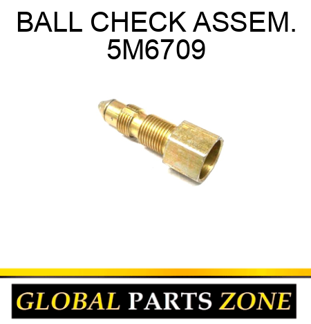 BALL CHECK ASSEM. 5M6709