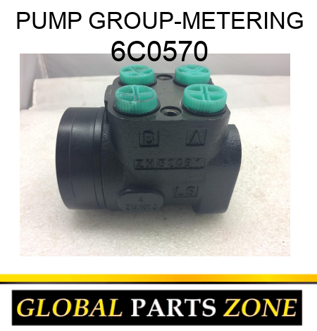 PUMP GROUP-METERING 6C0570