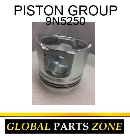 PISTON GROUP 9N5250