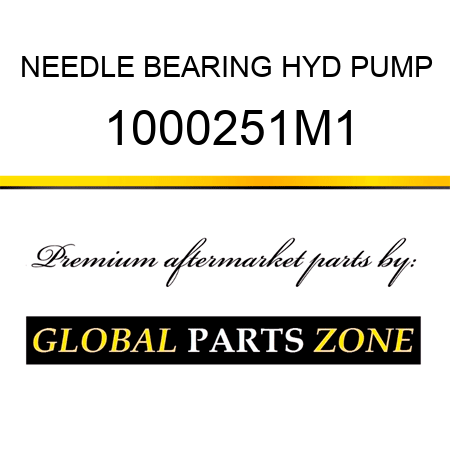 NEEDLE BEARING HYD PUMP 1000251M1