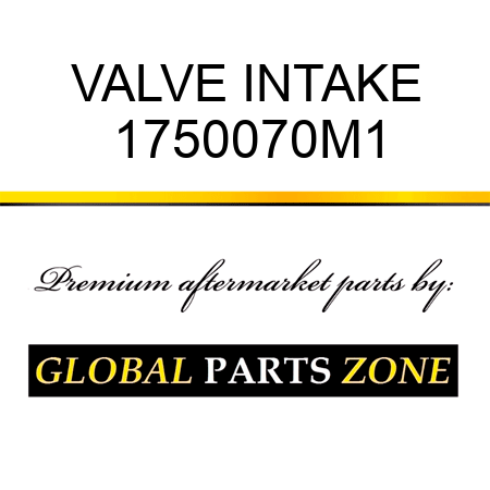 VALVE INTAKE 1750070M1