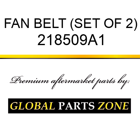 FAN BELT (SET OF 2) 218509A1