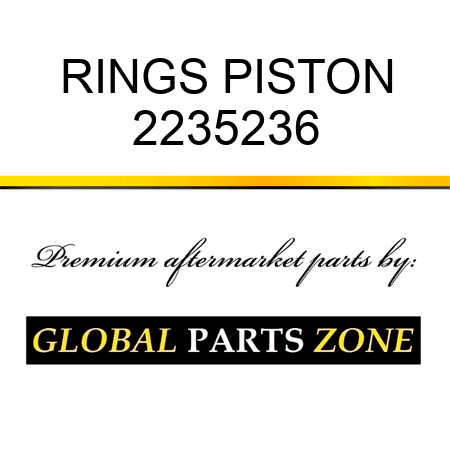 RINGS PISTON 2235236